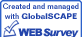 Create Internet Web Surveys